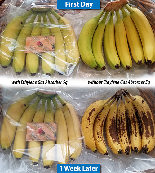 Fresh & Fresh 5 Gram (2100 Pack) Premium Ethylene Gas Absorber ??Easy to and Ready to use packets ??Extends Freshness of Fruits, Vegetables, and Flowers
